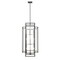 Z-Lite Titania 12 Light Pendant, Black 454-42BK-BN - alternate 5